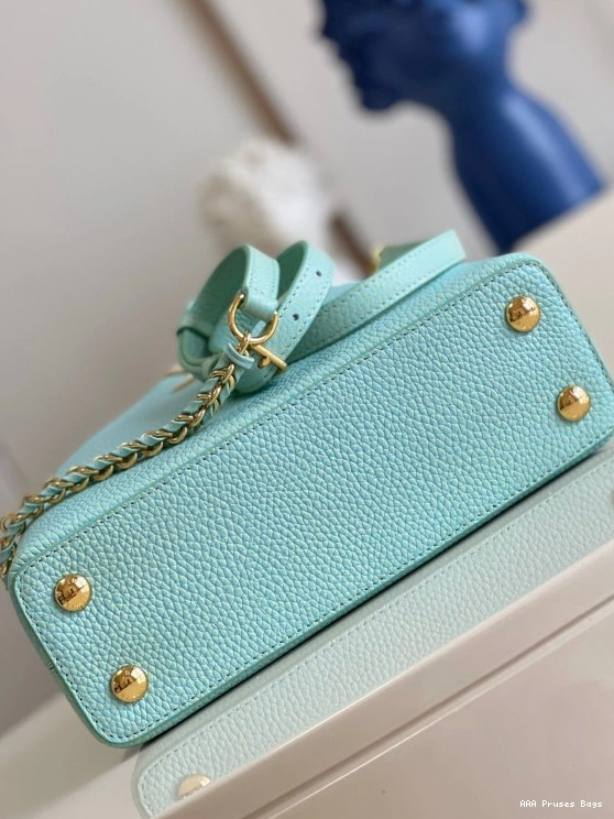 AAA Replica Ru BB CAPUCINES VUITTON LOUIS 0819